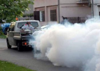 Kreće borba protiv tigrastog komarca u Kaštelima: Ovo su važne upute za građane!