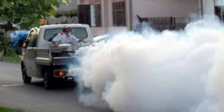 Kreće borba protiv tigrastog komarca u Kaštelima: Ovo su važne upute za građane!