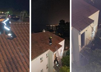 Maca bespomoćno mijaukala danima s podstranskog krova. Vatrogasci su je spasili