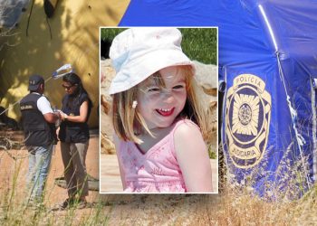 Madeleine McCann pretraga vjerojatno je potaknula unutarnji savjet, kaže stručnjak