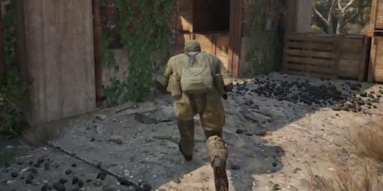 Metal Gear Solid Delta: Snake Eater ima internetski način za više igrača nazvan FOX Hunt s potpuno drugačijim igranjem od Metal Gear Online