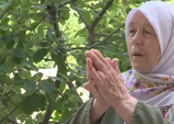 Mostarka o susretu s medvjedom: ‘Okrenuo se i otišao, pa se vratio i gledao prema nama…’