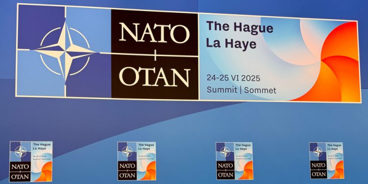 NATO samit na sastanku Ukrajine u Ukrajini – Politico – RT World News