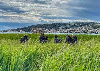 Obnova morskih i slatkovodnih staništa ključna za zaštitu bioraznolikosti i smanjenje negativnih utjecaja na okoliš