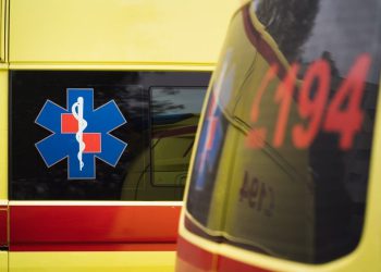 Opanost u Dalmaciji! Dijete opečeno meduzom, roditelji upozoravaju na sve češće pojave