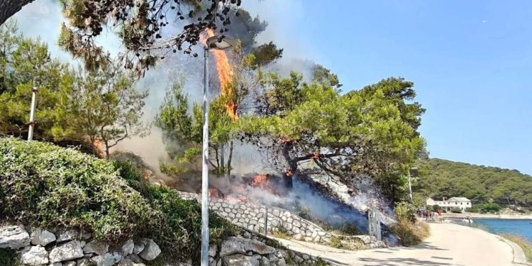 Ova djeca to sama ih sigurno sama nisu mogla kupiti, apeliramo na roditelje…