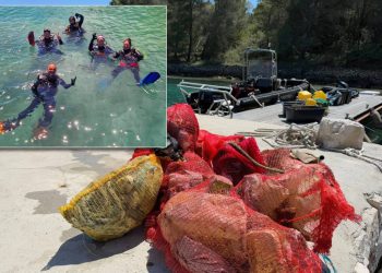 Ove godine nas dočekalo najmanje smeća do sad!