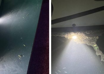 Pa ovdje se djeca kupaju!