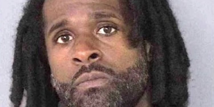 Pejzaž uhićen nakon što su pozvali stotine na neovlaštenu zabavu dok su vlasnici kuća daleko, kažu policajci