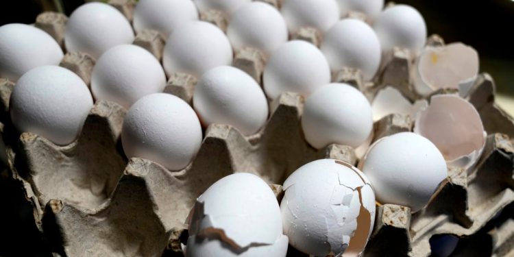 Podsjećanje na jaje preko Salmonella upozorenja se proteže u devet država. Evo gdje i što znati