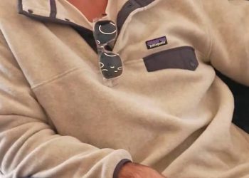 Pogledajte Savage Sledge od braće Marsh namijenjene ukrašenoj Engleskoj brzom Jimmyju Andersonu, kao i zlikovcu pepela Stuart Broad