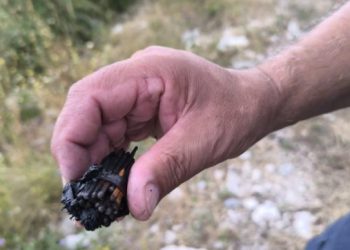 Požari bukte na hrvatskom jugu, a mrežama se širi jeziva fotografija: Je li ovo dokaz?