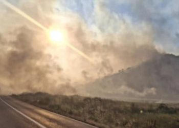 Požari u Trebinju pod kontrolom