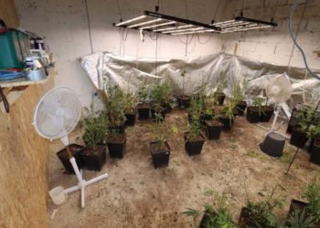 Pretres kuće u Konavlima! Policija pronašla ilegalni laboratorij, amfetamin i stabljike ‘sative’ (FOTO)