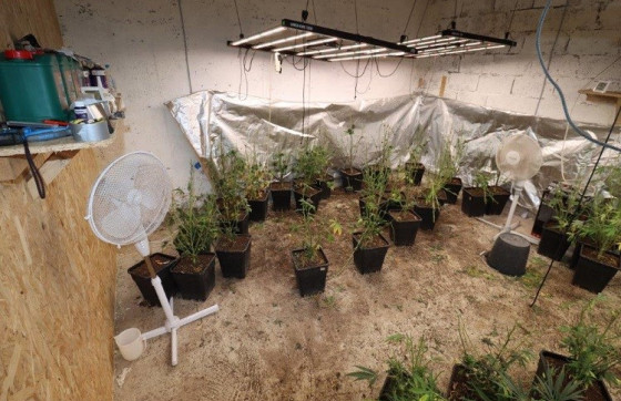 Pretres kuće u Konavlima! Policija pronašla ilegalni laboratorij, amfetamin i stabljike ‘sative’ (FOTO)