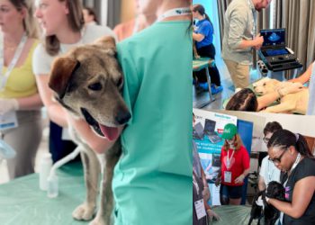 Psi iz dubrovačkog azila sudjelovali na kongresu: “Bili su smireni, prijateljski raspoloženi i izuzetno strpljivi”