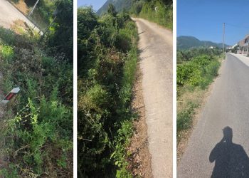 Put zarastao u džunglu, kanal pred pucanjem, a iz Općine – muk: “Sve radimo sami, a plaćamo kao da živimo u centru”