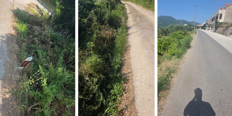 Put zarastao u džunglu, kanal pred pucanjem, a iz Općine – muk: “Sve radimo sami, a plaćamo kao da živimo u centru”