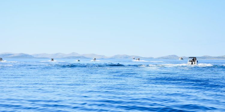 Rekordan Memorijalni kup otoka Pašmana – sve više natjecatelja, ribe i zajedništva