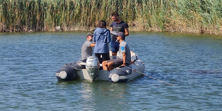 SLUČAJ VRANSKO JEZERO Prodor morske vode mijenja mikroživot u slatkovodnim jezerima