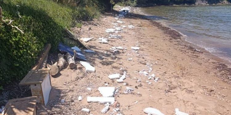 SMEĆE POSVUDA Ovako izgleda plaža u Kukljici na Ugljanu!