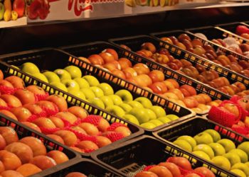 Sezona je raznog ukusnog voća i povrća. Stručnjakinja savjetuje: Kako prepoznati organsko od prskanog?