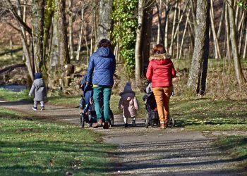 Sjajna prilika: Ovaj hrvatski grad mladima prodaje parcele i do tri puta povoljnije od tržišta, evo uvjeta