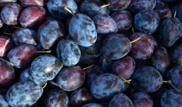 Šljive će poskupjeti ove godine