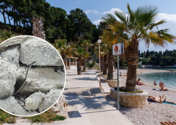Slobodna Dalmacija – FOTO Panika među Splićanima nakon što su vidjeli zmiju na lokalnoj plaži! Stručnjak umiruje: ‘Najviše voli suhozide…’
