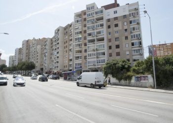 Slobodna Dalmacija – Splićanka ispalila na ovaj nadrealni prizor, pogledajte što se danas ‘ukotilo’ ispod palme: ‘Zaista nevjerojatno…’