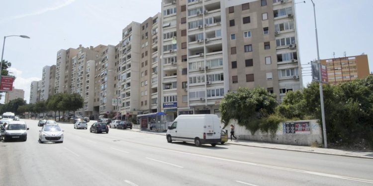 Slobodna Dalmacija – Splićanka ispalila na ovaj nadrealni prizor, pogledajte što se danas ‘ukotilo’ ispod palme: ‘Zaista nevjerojatno…’