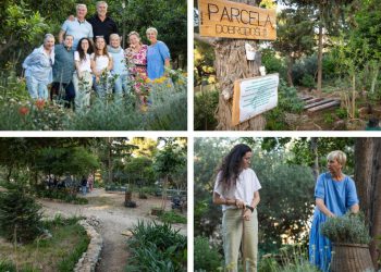 Slobodna Dalmacija – Split ovakav arboretum još nije vidio! Parcelaši s Marjana zadivili su i Japance: ‘Imamo i rogač Olivera Dragojevića’