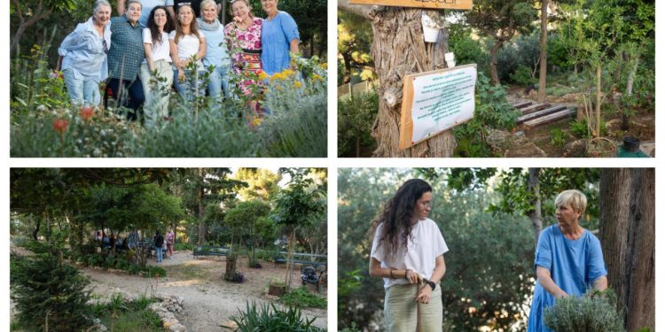 Slobodna Dalmacija – Split ovakav arboretum još nije vidio! Parcelaši s Marjana zadivili su i Japance: ‘Imamo i rogač Olivera Dragojevića’