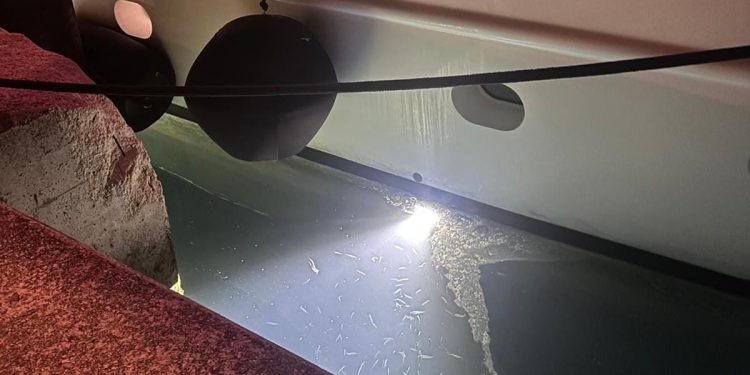 Spreman sam odgovarati ako se dokaže krivnja bilo kojeg člana posade!