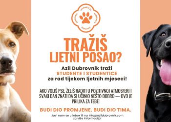 Studenti i studentice, ovo je nešto za vas: Azil Dubrovnik traži pomoć ovo ljeto