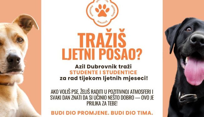 Studenti i studentice, ovo je nešto za vas: Azil Dubrovnik traži pomoć ovo ljeto