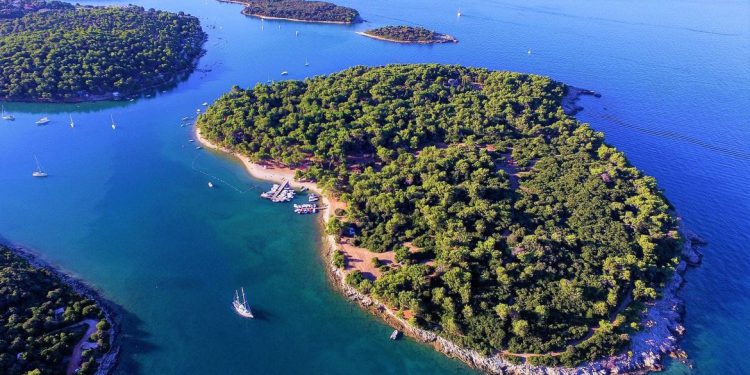 Svjetski je dan zaštite okoliša! Zelena akcija: “Gorući problem je plastika!”