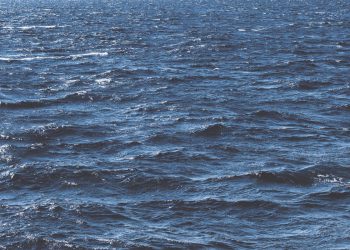 “Tema je zaštita mora!” Francuske vlasti zabranile pristup brodu Greenpeace-a