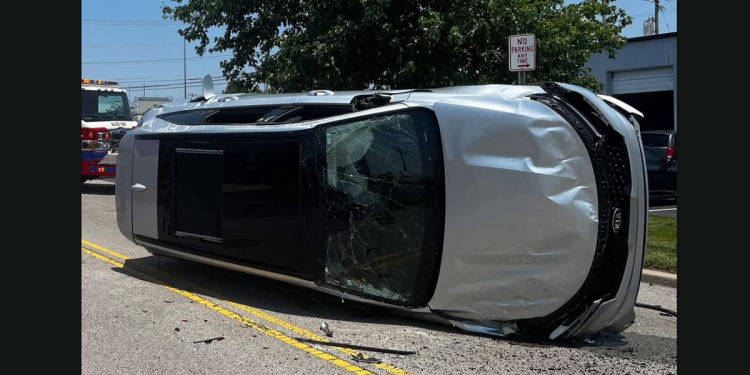 To nije samo buka: Cicadas preplavljuju zabavni park i krivicu se krive za automobilsku nesreću