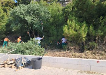 Trstenik spreman za sezonu: Uređeni borovi, očišćen pogled na more i sigurnije šetnice