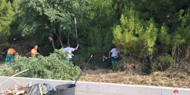 Trstenik spreman za sezonu: Uređeni borovi, očišćen pogled na more i sigurnije šetnice