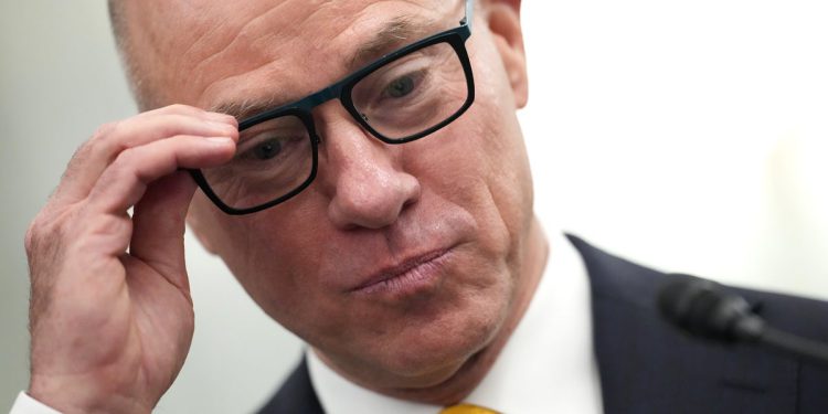 Trumpov izbor FAA odavno je tvrdio da ima dozvolu komercijalnog pilota. Izvješća pokazuju da to ne čini