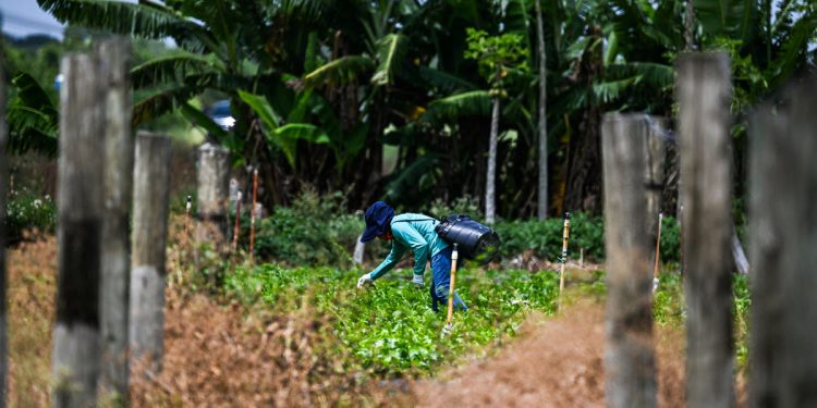 Trumpov tim kaže ICE -u da prestane uhititi na farmama, hotelima i restoranima: Izvještaj