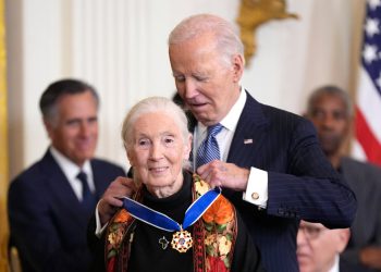 Trumpova pomoć smanjuje “kritičnu” projekt zaštite Jane Goodall čimpanze u krizi
