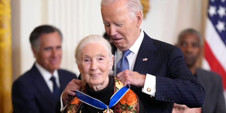Trumpova pomoć smanjuje “kritičnu” projekt zaštite Jane Goodall čimpanze u krizi