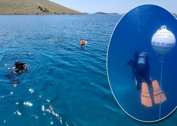 U NP Kornati postavljeni kolektori za prikupljanje mlađi plemenite periske (Pinna nobilis)