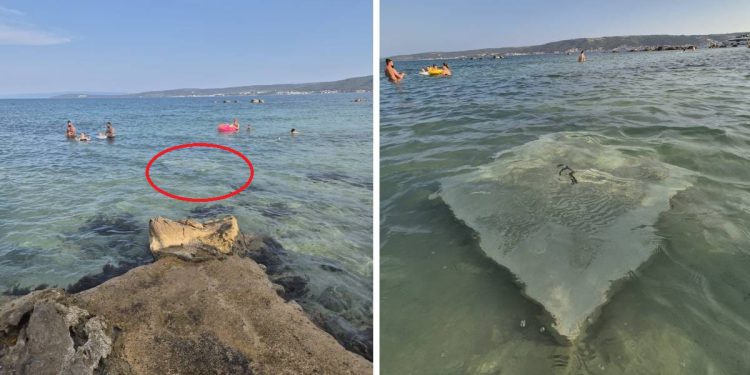 U plićak nasred plaže u Kaštelima dovukli teški betonski blok, kako bi vezali brod/jahtu? “Pogledajte ovo