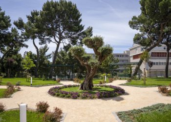 U splitskom KBC-u otvara se impresivni “Park života” koji ima snažnu simboliku: Evo tko stoji iza svega