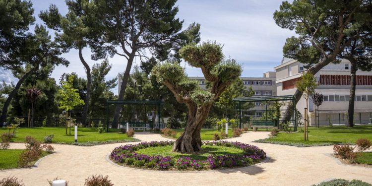 U splitskom KBC-u otvara se impresivni “Park života” koji ima snažnu simboliku: Evo tko stoji iza svega