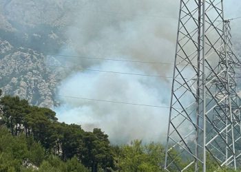 VIDEO Bukti požar u Makarskoj, stižu kanaderi